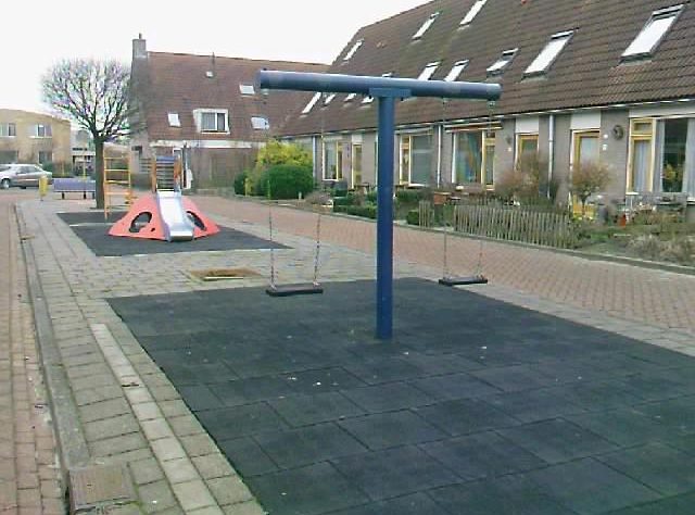 Goudparkiet 10