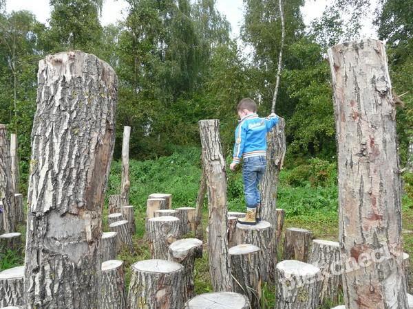 Natuurspeeltuin & Speelbos; Welke bossen zijn leuk met kinderen? - Reisliefde