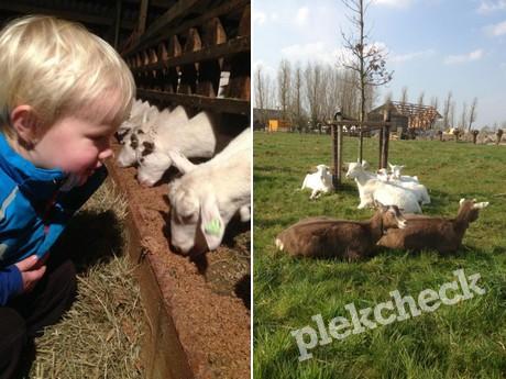 Kinderboerderij en speelterrein Geertjes Hoeve in Haarzuilens /nabij Utrecht