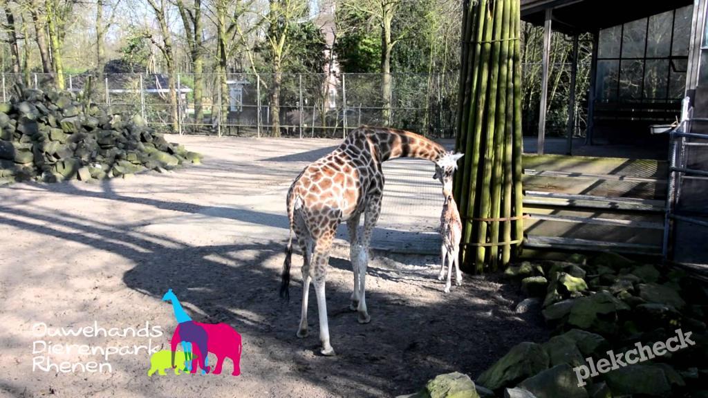 Dierentuin Ouwehands Dierenpark Rhenen - PlayAdvisor