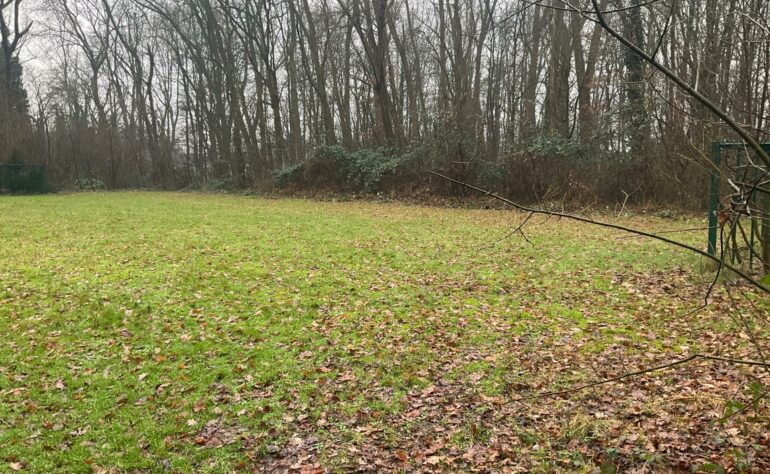 Speelveld (12A) Tolhuislaan