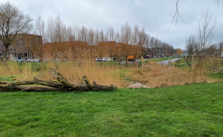 03.34.9 Hoefsmidstraat 21 (natuurspeelplek)