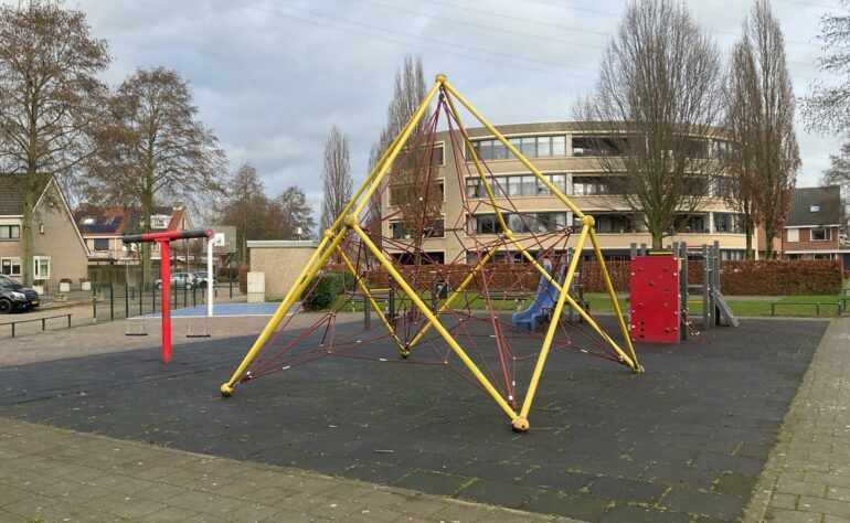 10 Ooievaar / Roerdomp 36