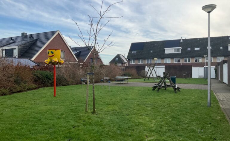 07 Boterbloemstraat achter nr 20 (De Weide blik)