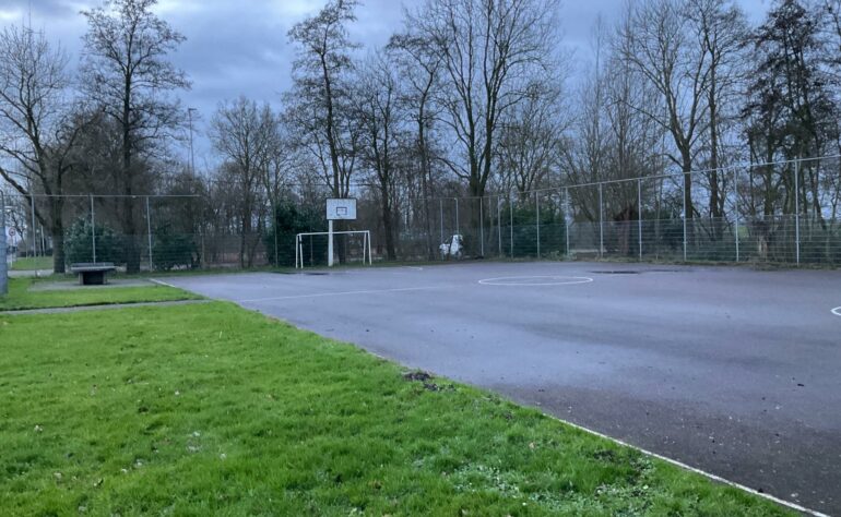 0411 Zwanenvliet / Tiendweg (trapveld)