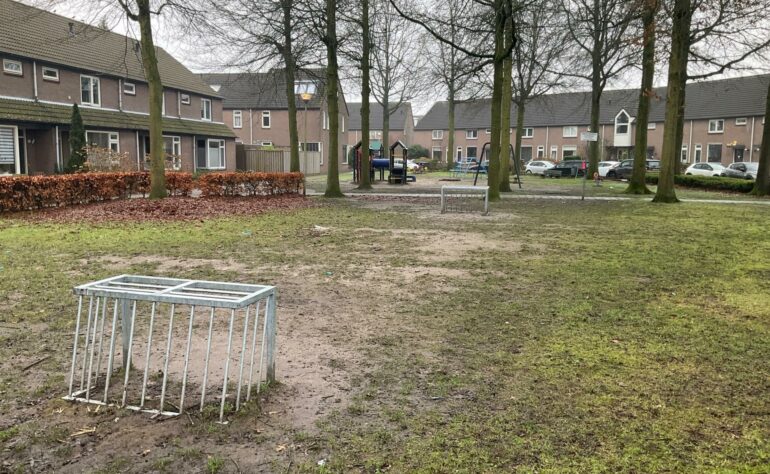 Speelveld (37) Zilvermeeuw 100