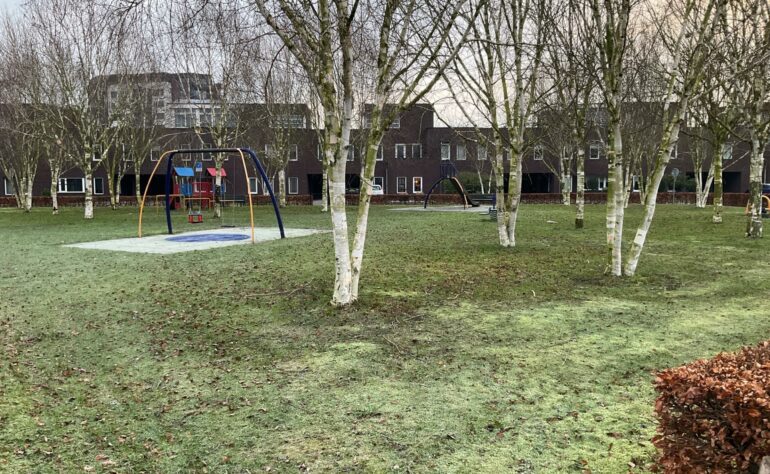Speelveld (50B) van Rooylaan