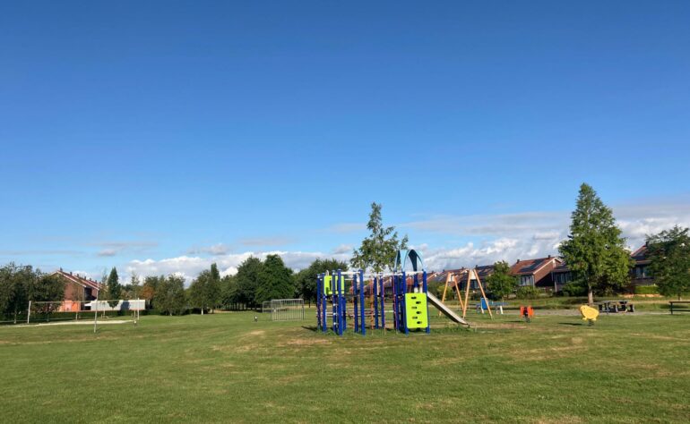 Ytsjesan 32 Frouwesan 110 (Groene Wig)