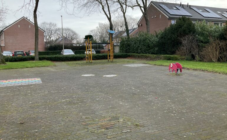 Speelveld (05) Welpepad