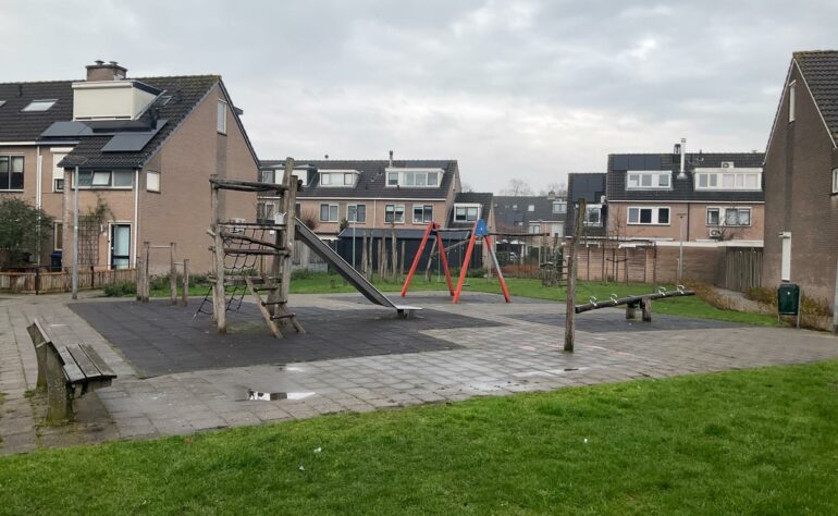 Pijlkruid 9