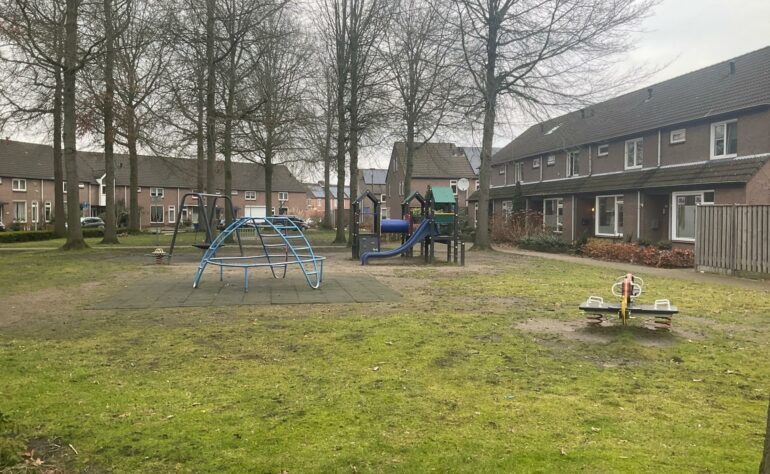 Speelveld (37) Zilvermeeuw 100