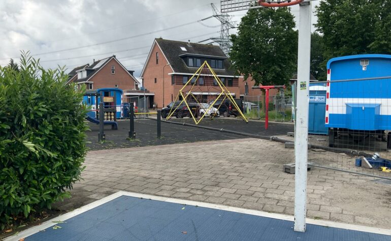 10 Ooievaar / Roerdomp 36
